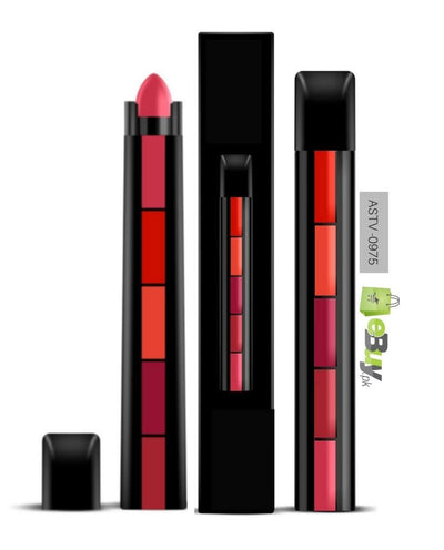 5 in 1 Mini Size Pen Style Matte Lipsticks